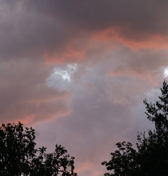 Innsbrucker Festwochen der Alten Musik