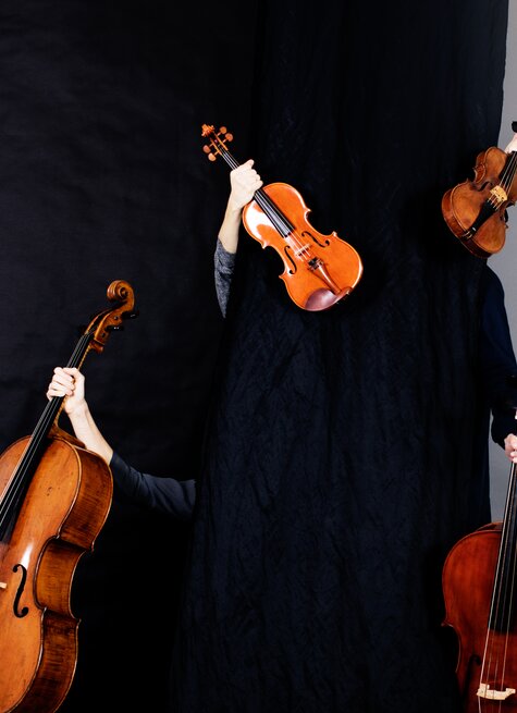 Vierhalbiert | © Julia Wesely