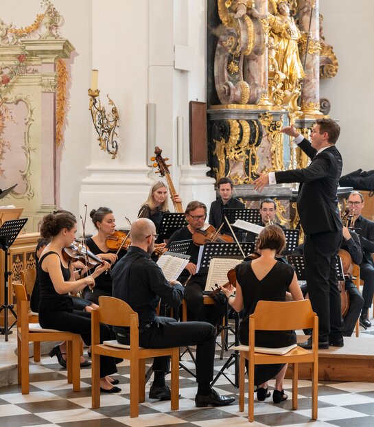 Paluselli Consort Stams