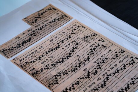 Sonare organo | © Mona Wibmer Sonare organo | © Mona Wibmer