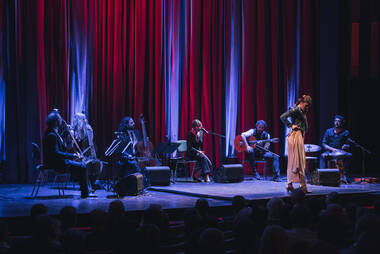 Flamenco © Michael Venier
