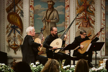 Geigengeflüster © Felix Pirker