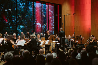 Il Messia © Felix Pirker