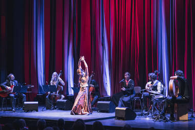 Flamenco © Michael Venier