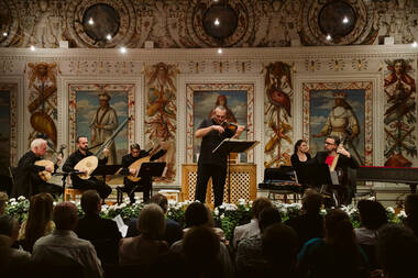 Geigengeflüster © Felix Pirker