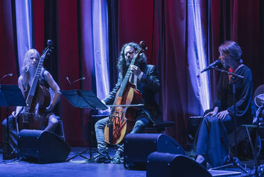 Flamenco © Michael Venier