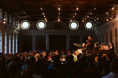 Geigengeflüster © Felix Pirker