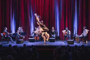 Flamenco © Michael Venier