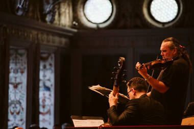 Geigengeflüster © Felix Pirker