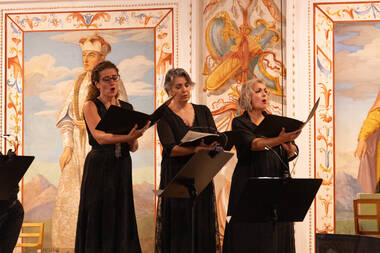 Combattimento © Mona Wibmer